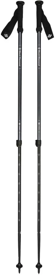 Трекінгові палиці Black Diamond Explorer 2 Ink Blue